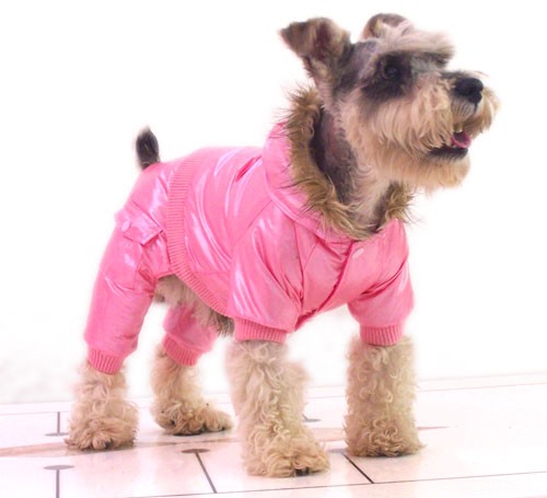 Water-proof dog jumpsuit