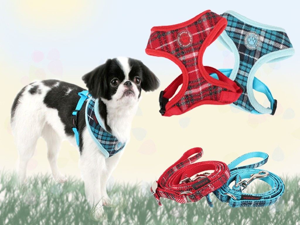 Puppia Checked Harness and Leash