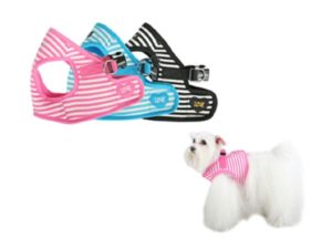Puppia Modern Harness and Leash